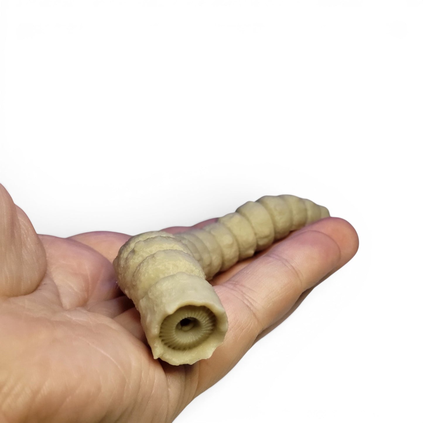 Articulated Sandworm - 3D Flexible Figure Large