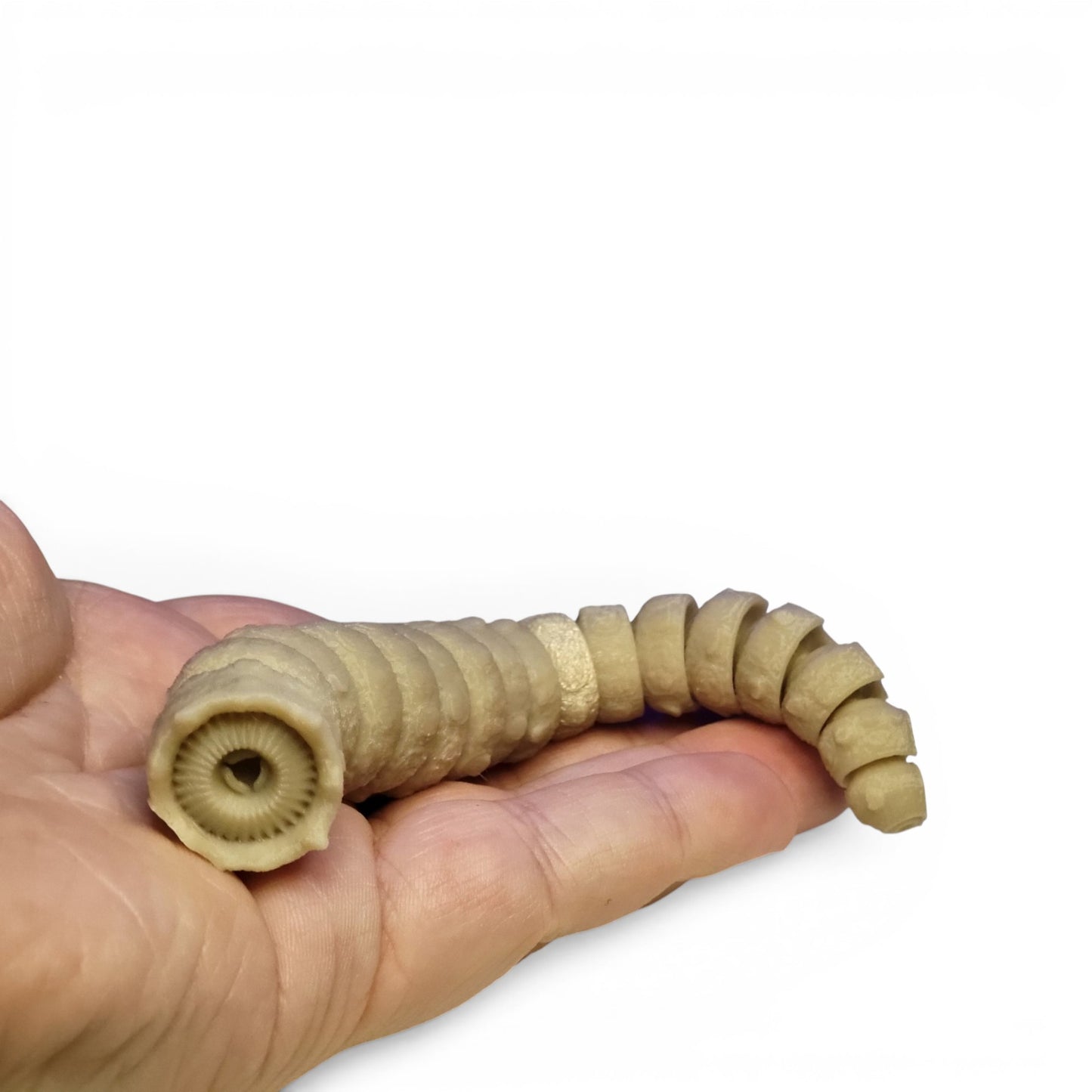 Articulated Sandworm - 3D Flexible Figure