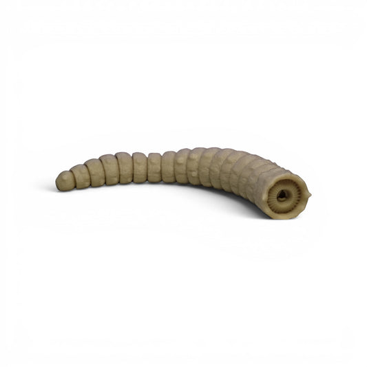 Articulated Sandworm - 3D Flexible Figure