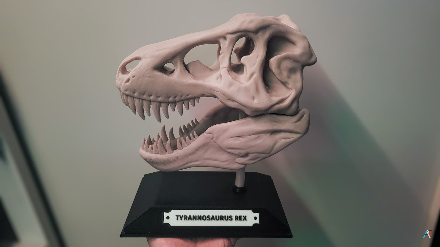 _T-Rex Skull