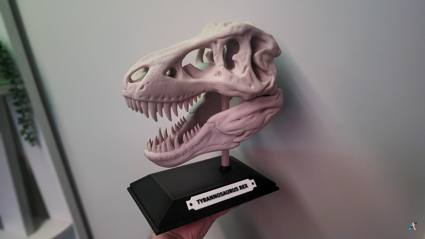 _T-Rex Skull