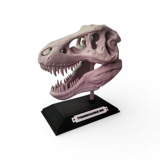 T. Rex Dinosaur Skull Model