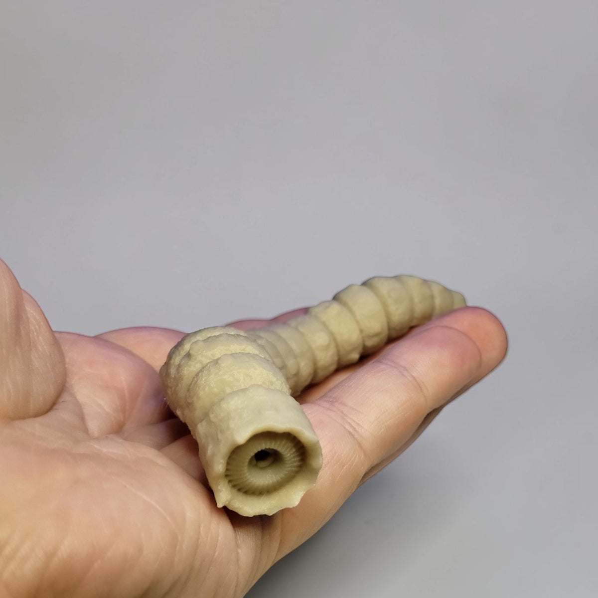 Articulated Sandworm - 3D Flexible Figure Large