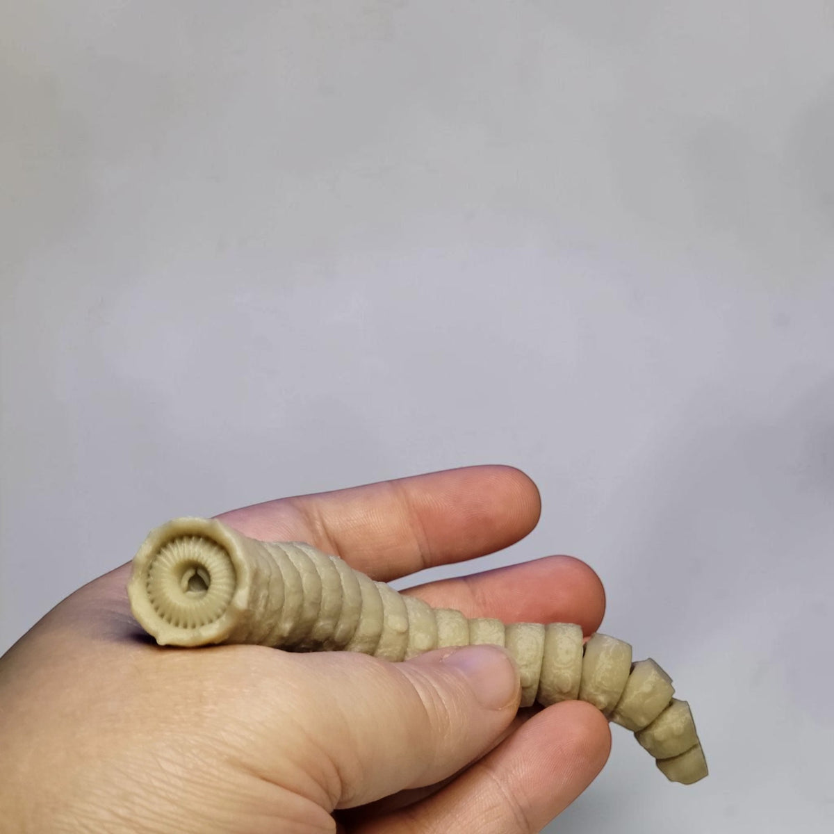 Articulated Sandworm - 3D Flexible Figure Large