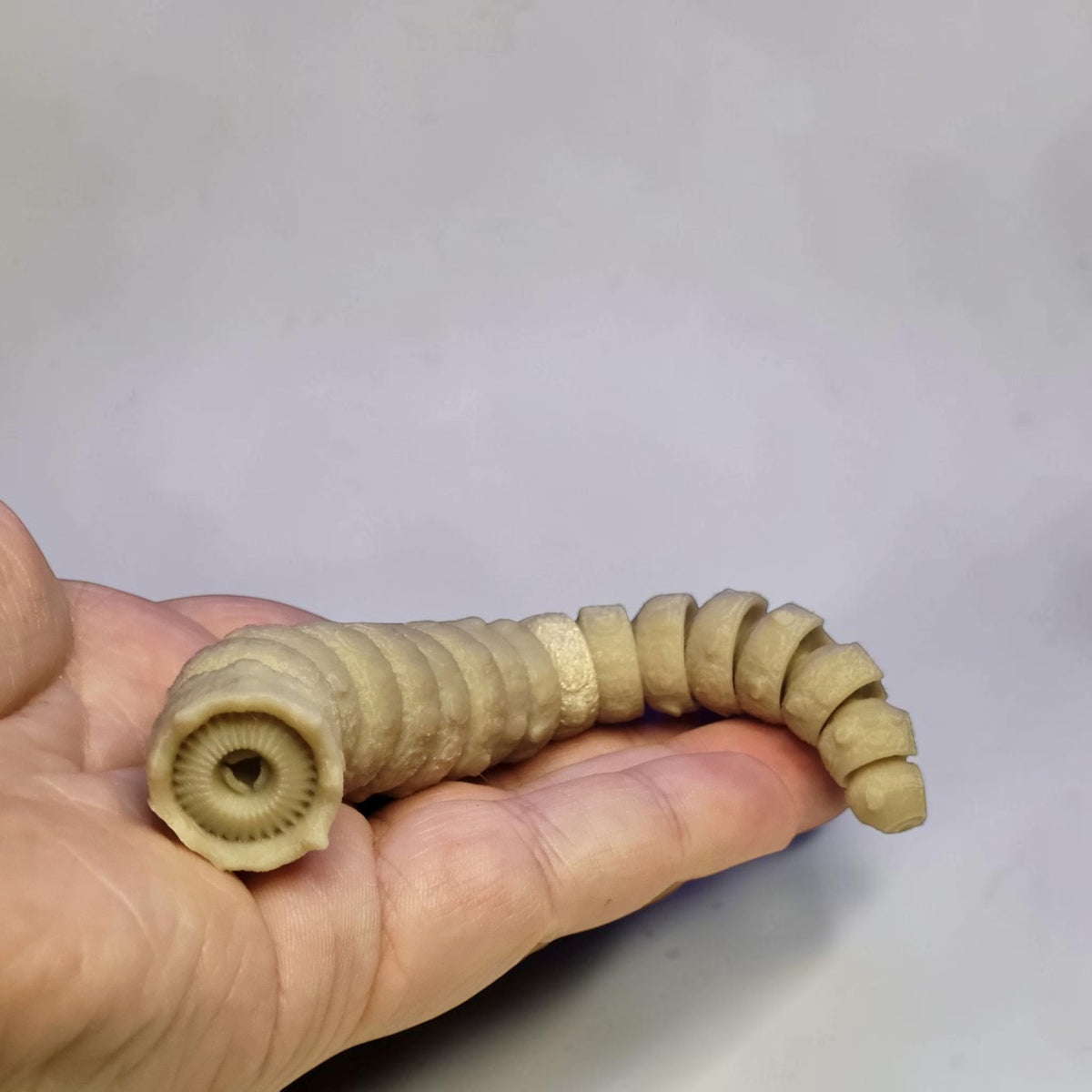 Articulated Sandworm - 3D Flexible Figure Large