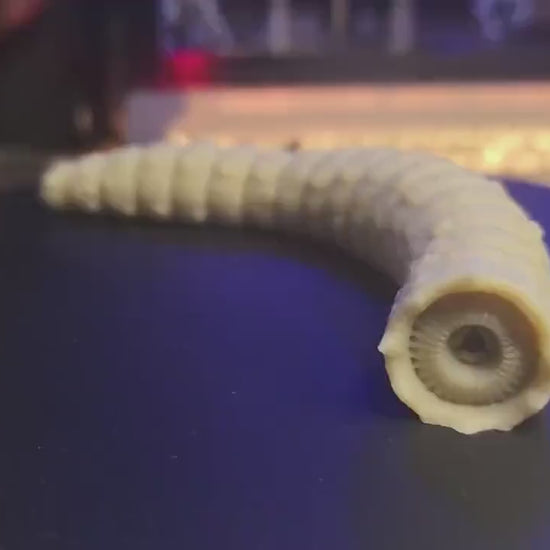 Articulated Dune Sandworm - 3D Flexible Figure