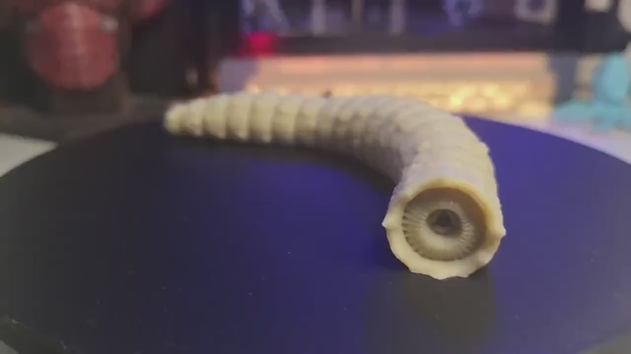 Articulated Dune Sandworm - 3D Flexible Figure